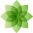中美桥